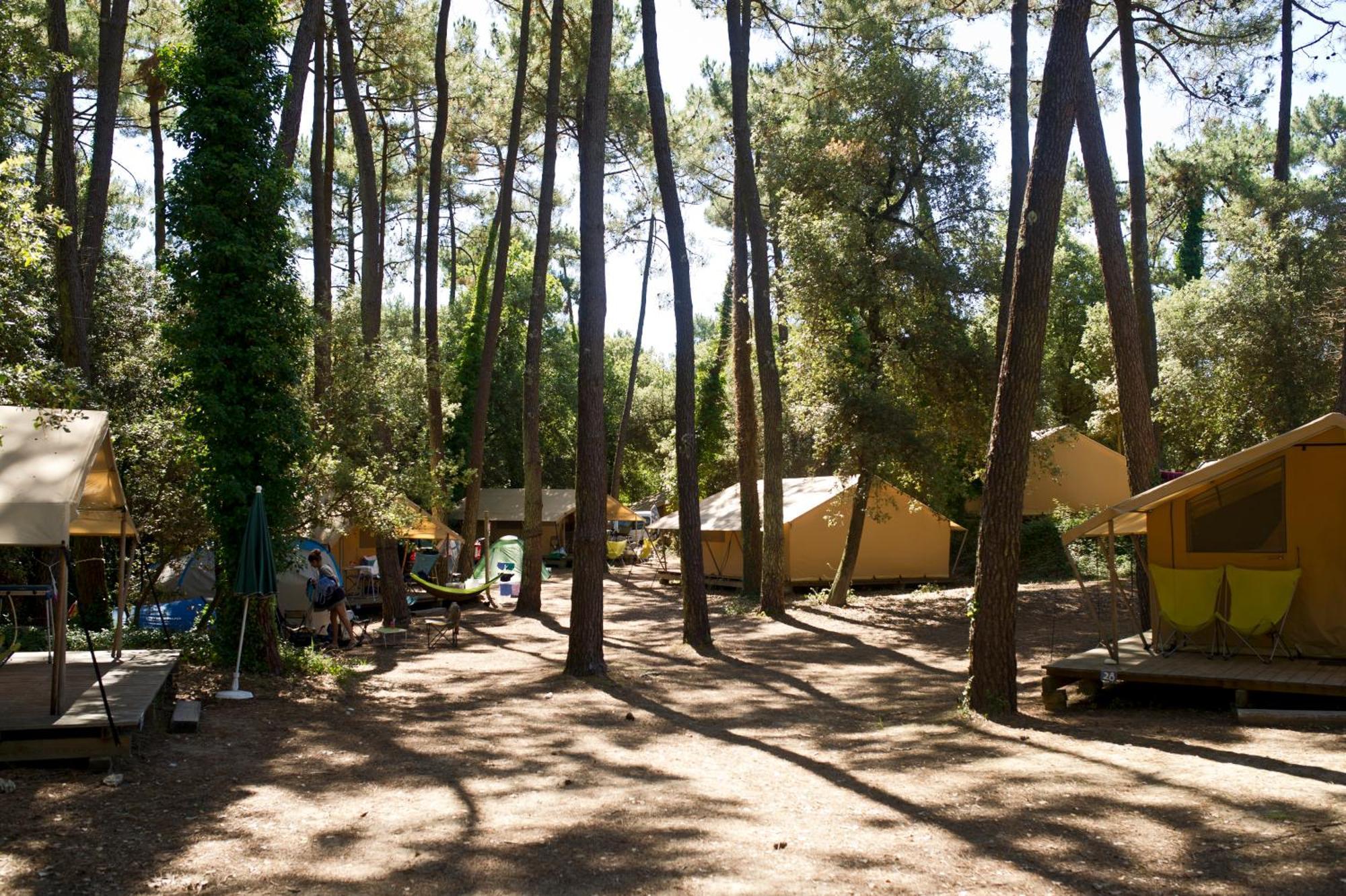 Huttopia Oleron Les Chenes Verts Dolus d'Oléron Стая снимка