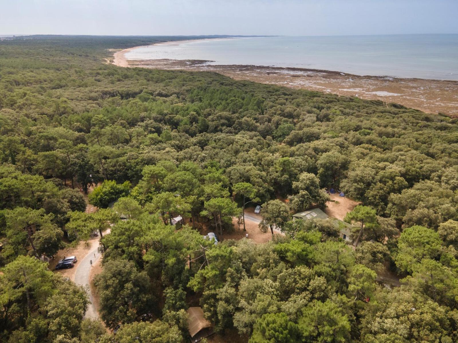 Huttopia Oleron Les Chenes Verts Dolus d'Oléron Екстериор снимка